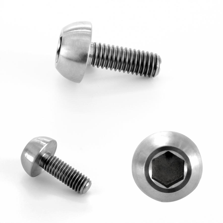 チタンボルト M6×17mm P=1.00 ブレーキディスク ローター ボルト ホンダ車用 シルバー 原色 JA064 | ホンダ | 02