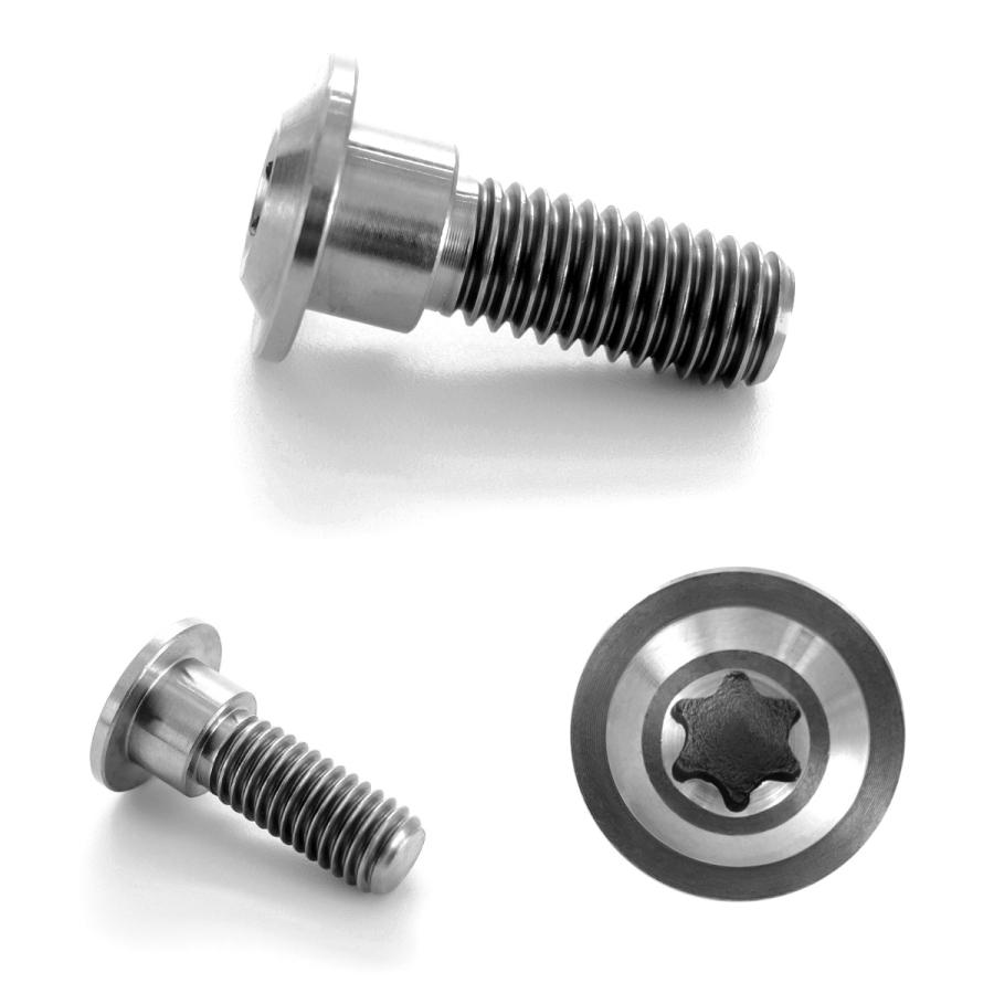 チタンボルト M8×24mm P1.25 ブレーキディスク ローターボルト ホンダ車用 シルバー JA067 | ブランド登録なし | 02