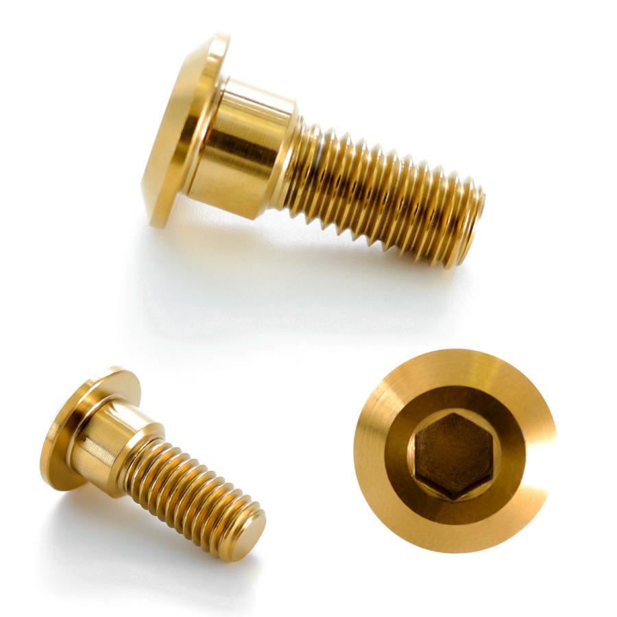 チタンボルト M8×22mm P1.25 ブレーキディスク ローターボルト スズキ車用 ゴールド JA075 | ブランド登録なし | 02