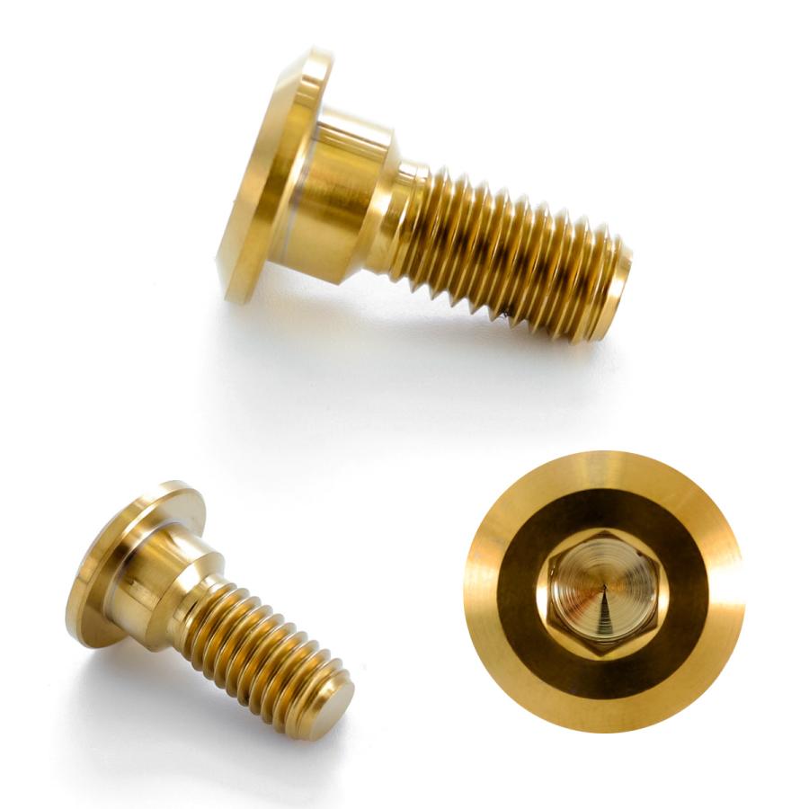 チタンボルト M8×20mm P1.25 ブレーキディスク ローターボルト ヤマハ車用 ゴールド JA078 | ブランド登録なし | 02