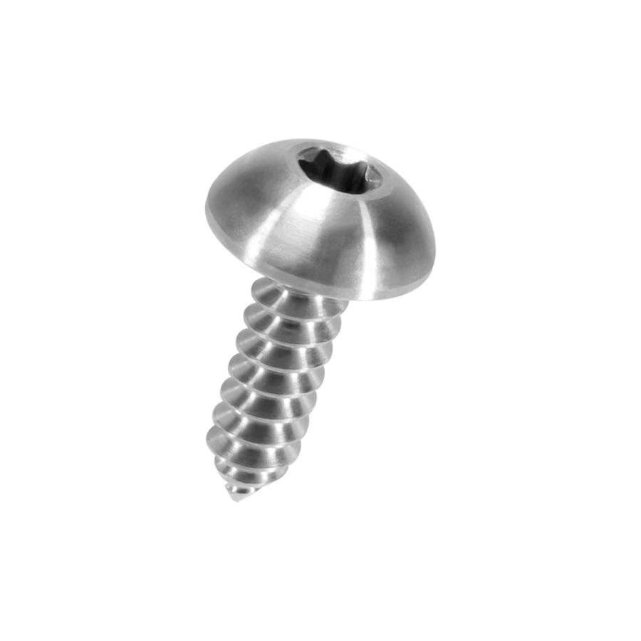 タッピングネジ M5×16mm チタン トルクス トラス シルバー チタン原色