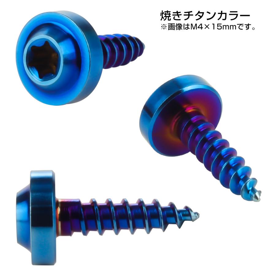タッピングネジ M4×20mm チタン トルクス穴 フランジ付き ビス 焼き
