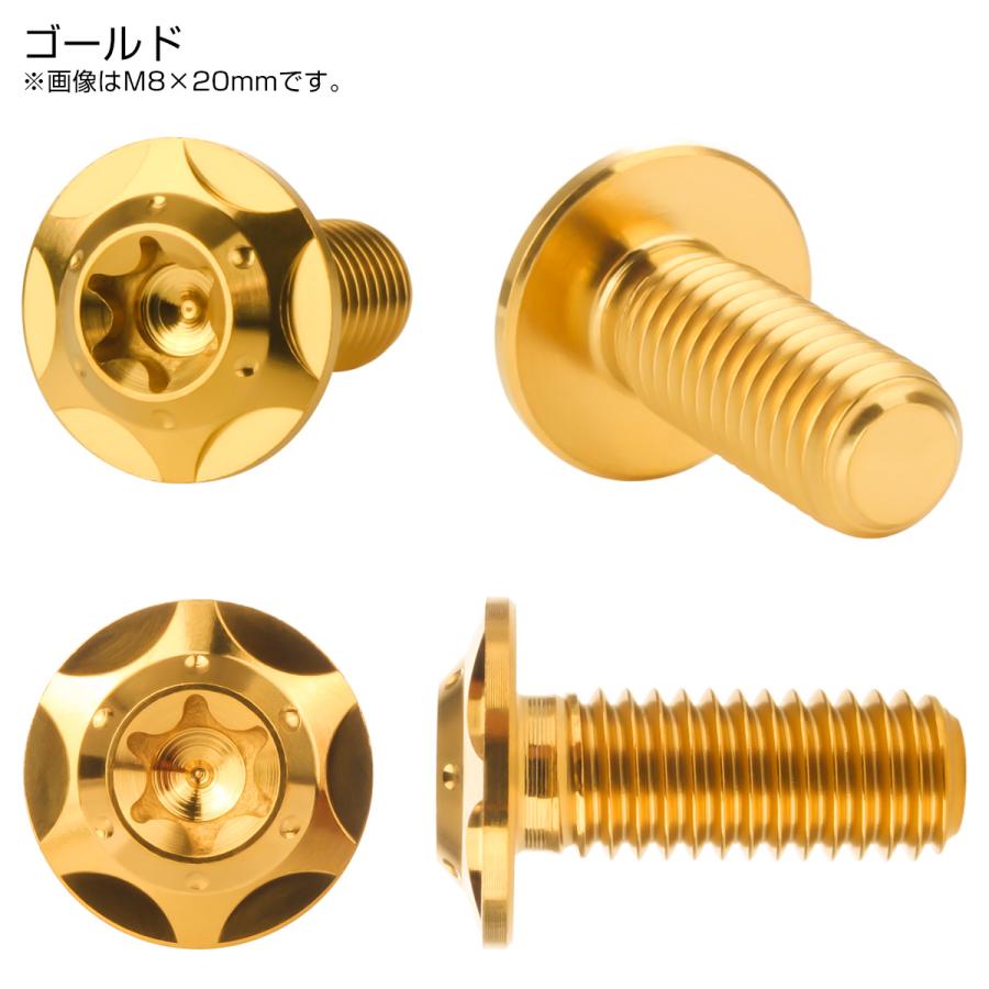 チタンボルト M8×20mm P1.25 ボタンボルト フランジ付き トルクス穴 ゴールド スターホール JA1045 | ブランド登録なし | 01