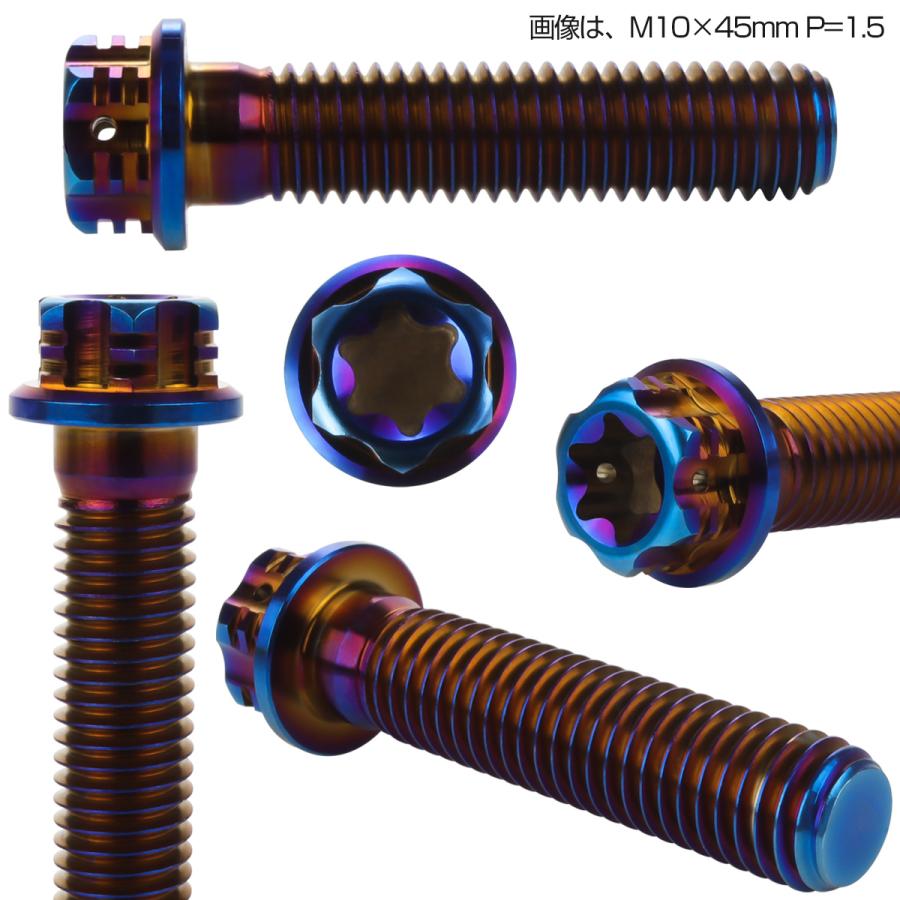 チタンボルト M10×55mm P1.25 六角ボルト フランジ付き トルクス穴 焼きチタン風 デザイン JA1076 | ブランド登録なし | 02