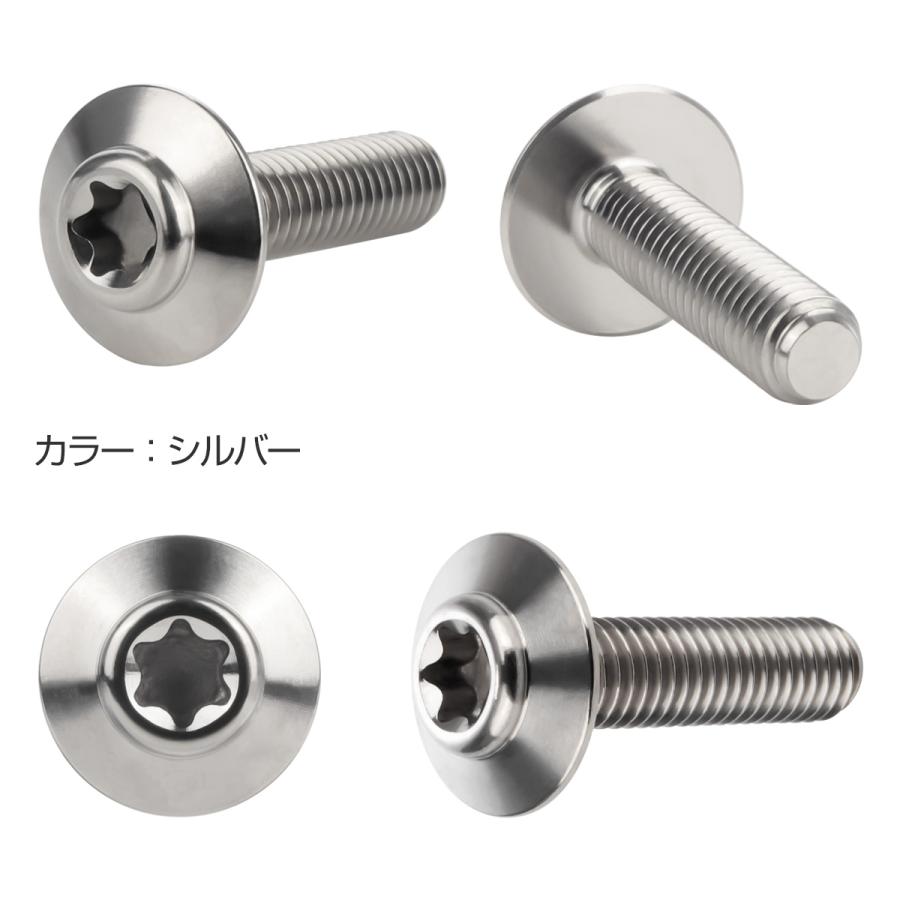 チタンボルト M5×20mm P0.8 ボタンボルト トルクス穴 シルバー JA1098 | ブランド登録なし | 01