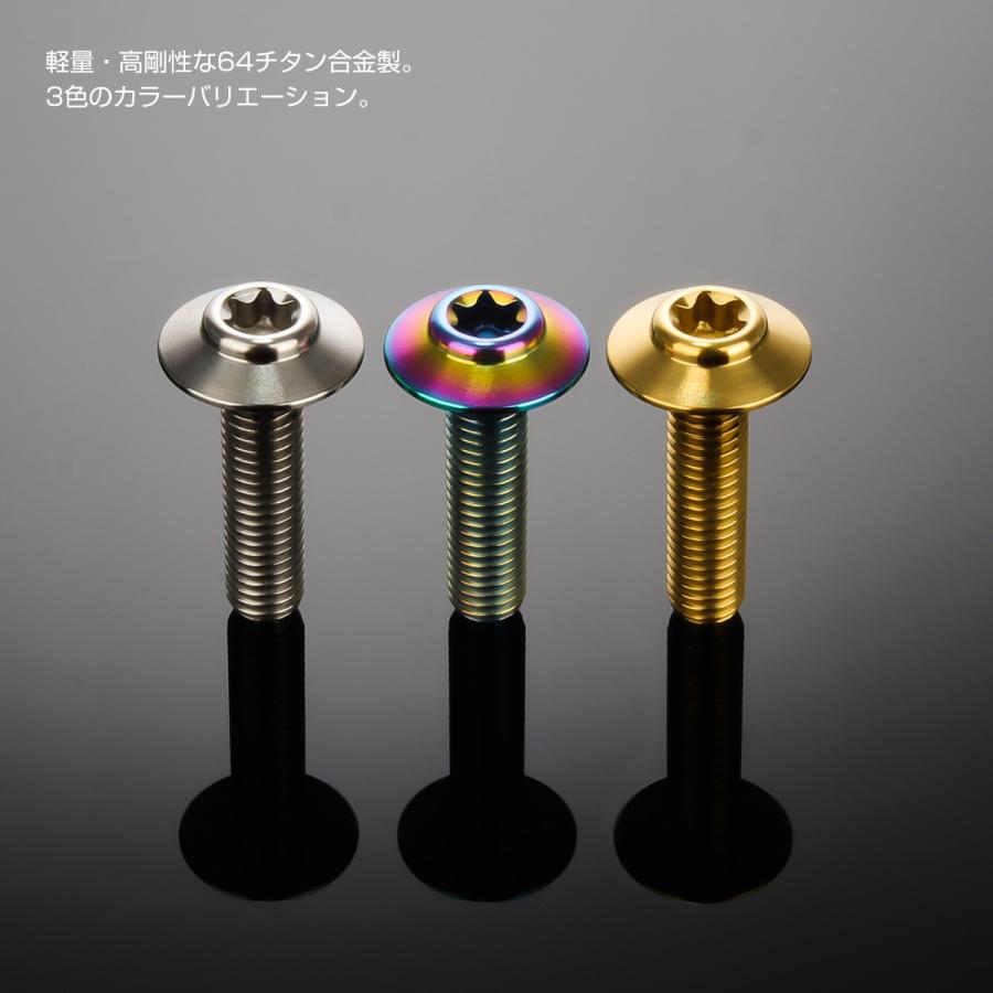 チタンボルト M5×20mm P0.8 ボタンボルト トルクス穴 シルバー JA1098 | ブランド登録なし | 02