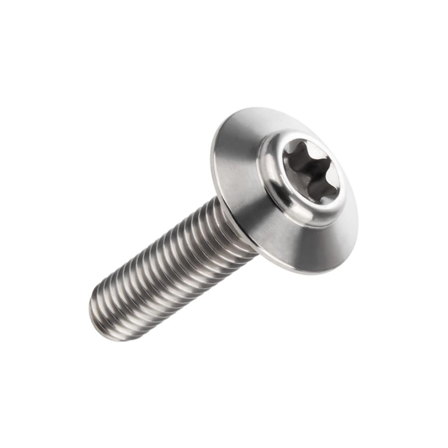 チタンボルト M5×20mm P0.8 ボタンボルト トルクス穴 シルバー JA1098 | ブランド登録なし | 04