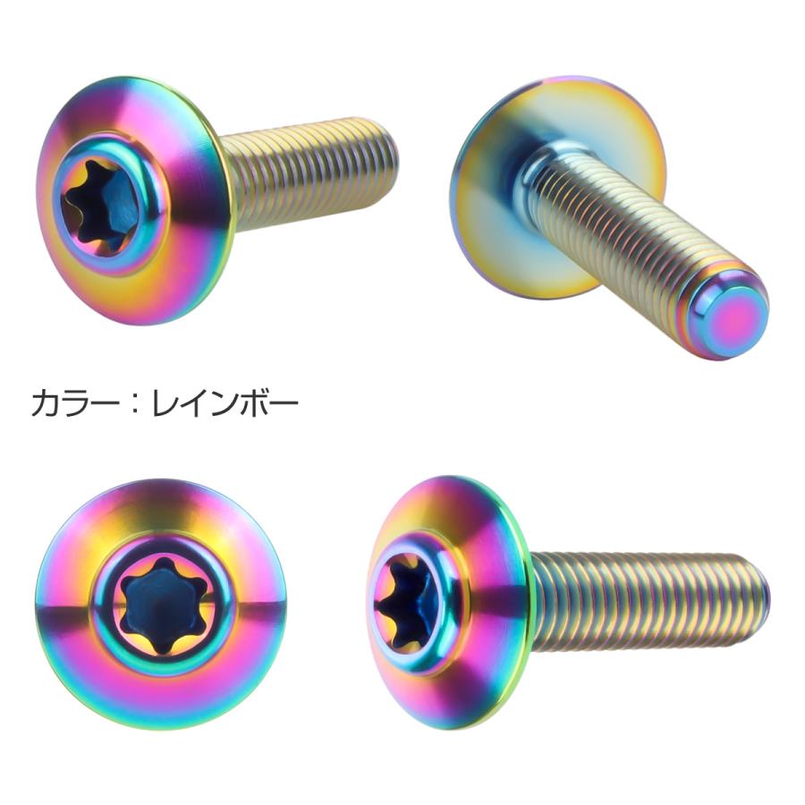 チタンボルト M5×20mm P0.8 ボタンボルト トルクス穴 レインボー 虹色 JA1099 | ブランド登録なし | 01