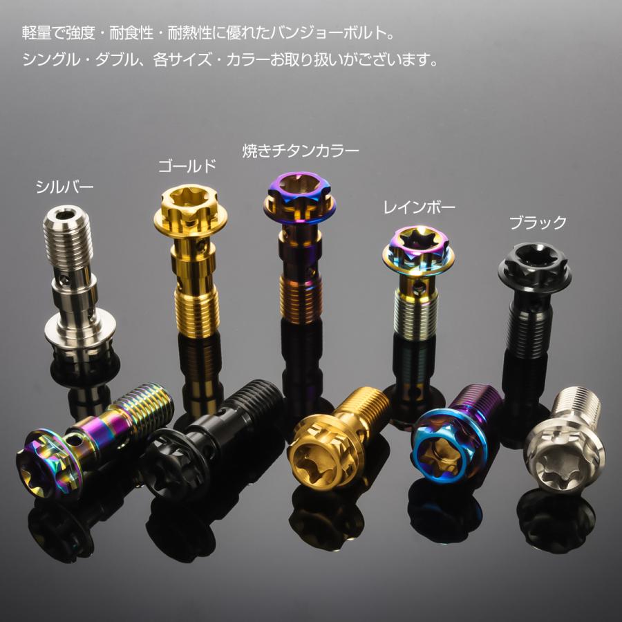 64チタン製 バンジョーボルト ブレーキライン M10 P1.00 トルクス穴 ダブル デザインボルト シルバー JA1111 | ブランド登録なし | 03