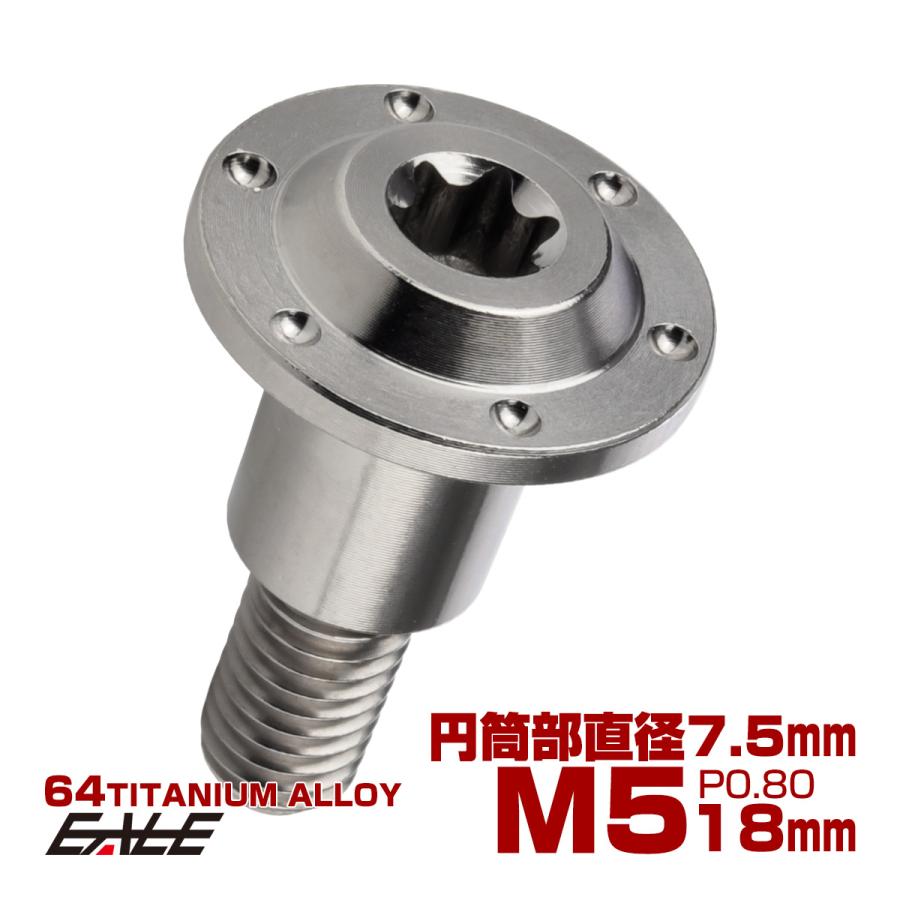 チタン 段付きボルト M5×18mm P0.8 円筒部直径7.5mm ホールヘッド