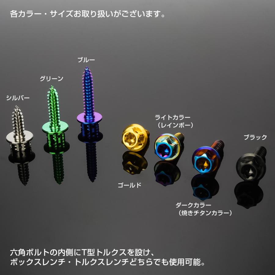 タッピングネジ M5×15mm チタン トルクス穴 フランジ付 ビス ブルー