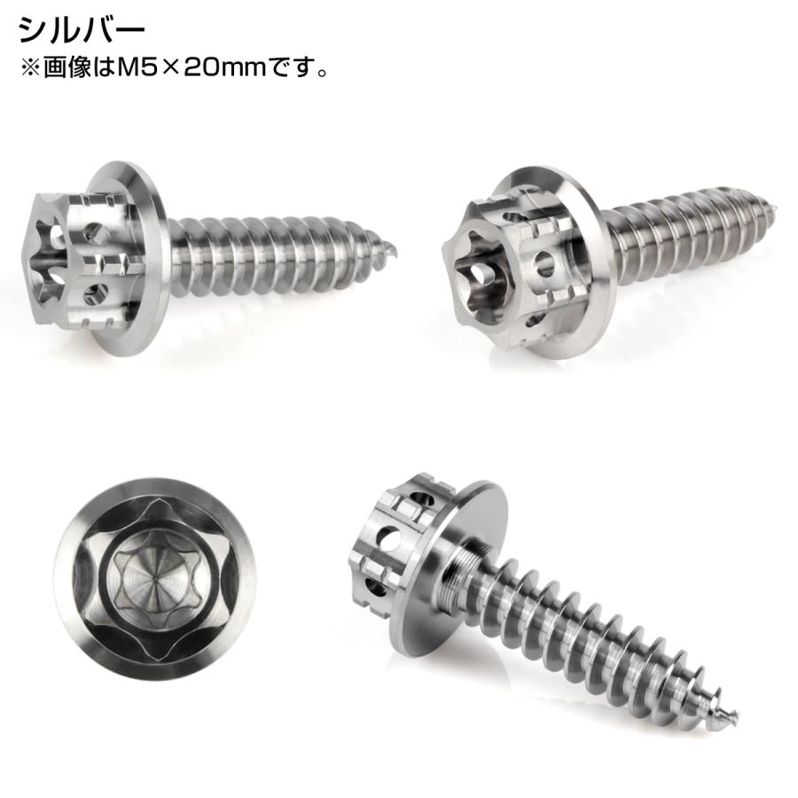 タッピングネジ M5×20mm チタン トルクス穴 フランジ付 ビス シルバー