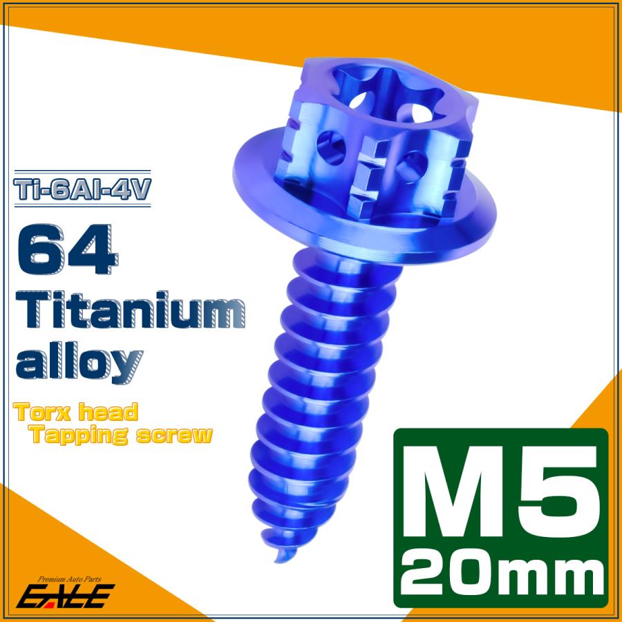 タッピングネジ M5×20mm チタン トルクス穴 フランジ付 ビス ブルー