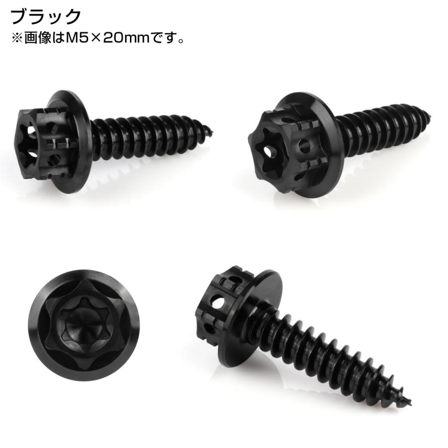 タッピングネジ M5×20mm チタン トルクス穴 フランジ付 ビス ブラック