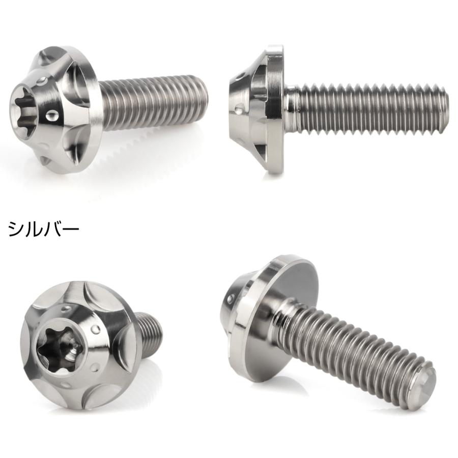 チタンボルト M5×15mm P0.8 ボタンボルト トルクス穴 シルバー スターホール JA1218 | ブランド登録なし | 01