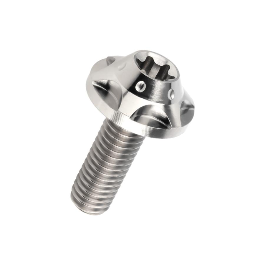 チタンボルト M5×15mm P0.8 ボタンボルト トルクス穴 シルバー スターホール JA1218 | ブランド登録なし | 04