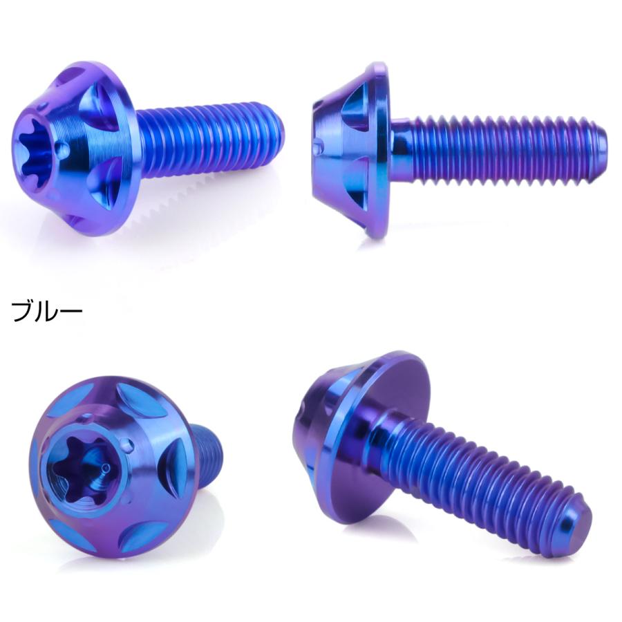 チタンボルト M5×15mm P0.8 ボタンボルト トルクス穴 ブルー スターホール JA1220 | ブランド登録なし | 01