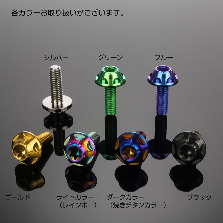 チタンボルト M5×15mm P0.8 ボタンボルト トルクス穴 ブルー スターホール JA1220 | ブランド登録なし | 02