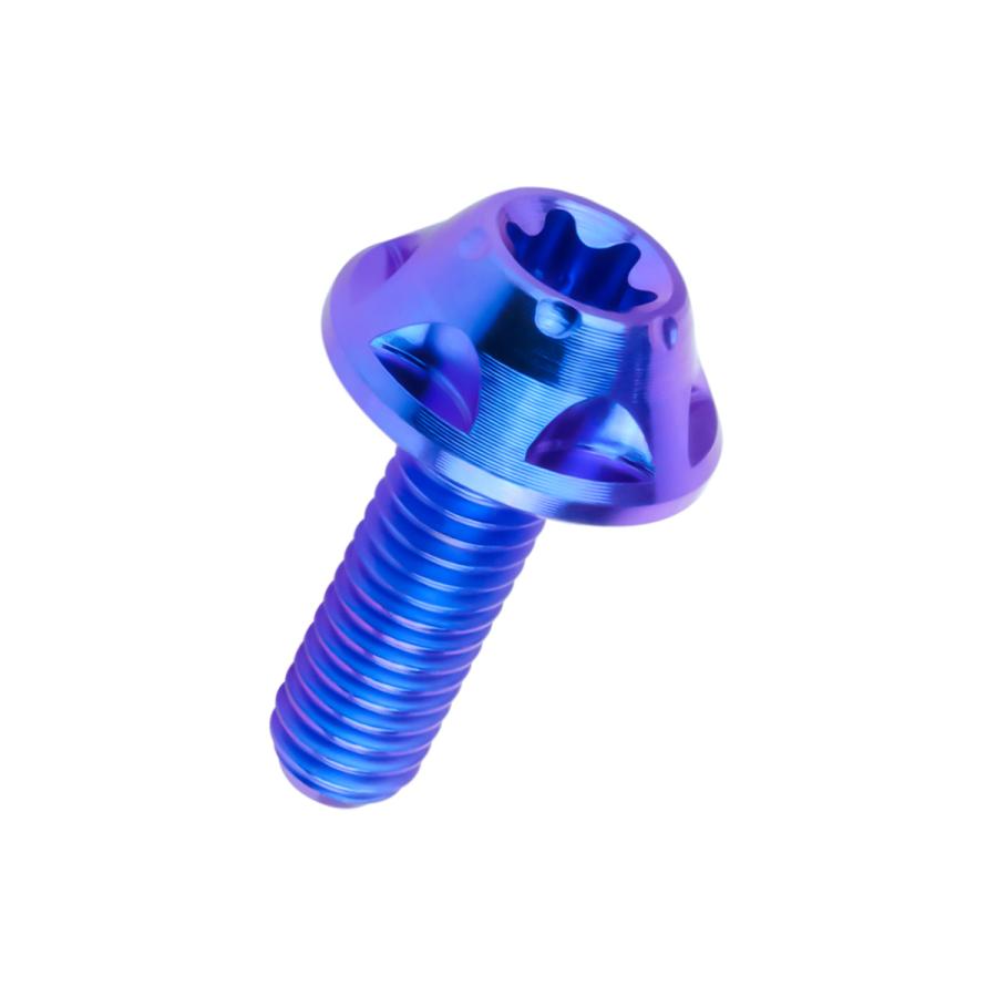 チタンボルト M5×15mm P0.8 ボタンボルト トルクス穴 ブルー スターホール JA1220 | ブランド登録なし | 04