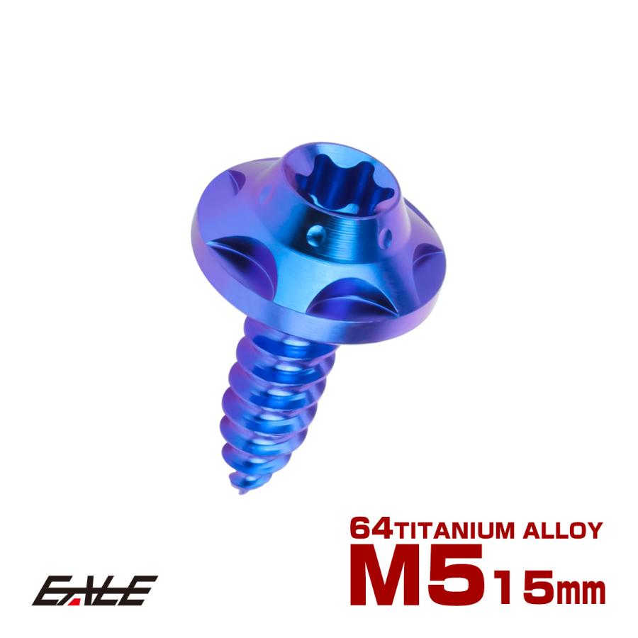 タッピングネジ M5×15mm チタン トルクス穴 ビス ブルー スターホール