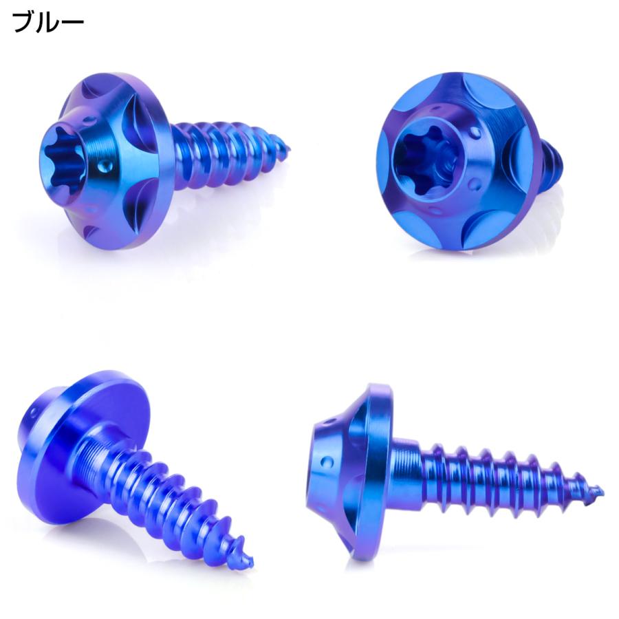 タッピングネジ M5×15mm チタン トルクス穴 ビス ブルー スターホール