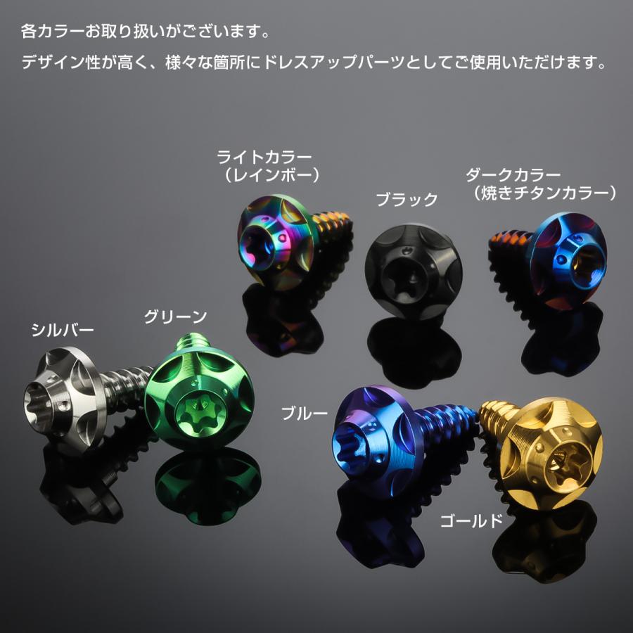 タッピングネジ M5×15mm チタン トルクス穴 ビス ライトカラー