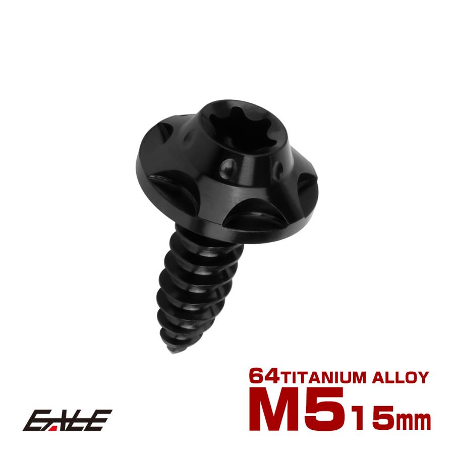 タッピングネジ M5×15チタン トルクス穴 ビス ブラック スターホール