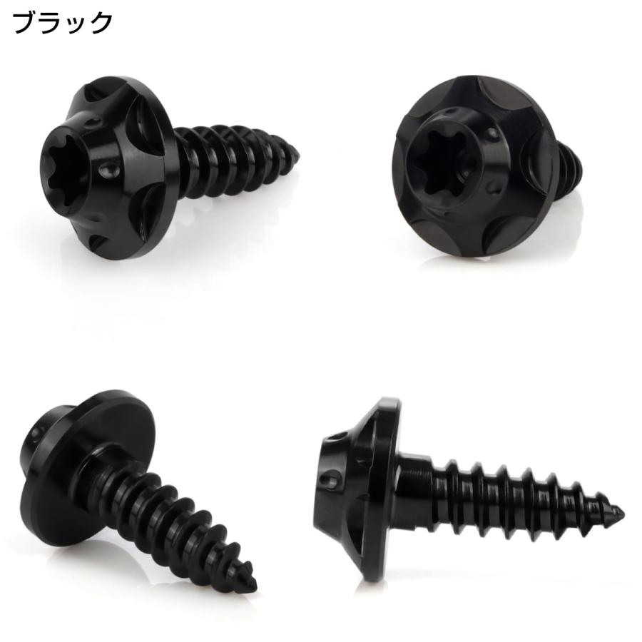 タッピングネジ M5×15チタン トルクス穴 ビス ブラック スターホール