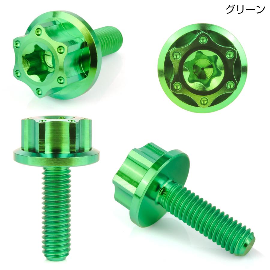 チタンボルト M6×20mm P1.0 六角ボルト ワイドフランジ トルクス穴 グリーン ホール JA1233 | ブランド登録なし | 01
