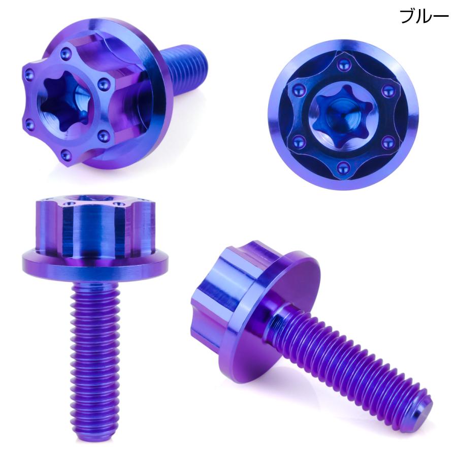 チタンボルト M6×20mm P1.0 六角ボルト ワイドフランジ トルクス穴 ブルー ホール JA1234 | ブランド登録なし | 01