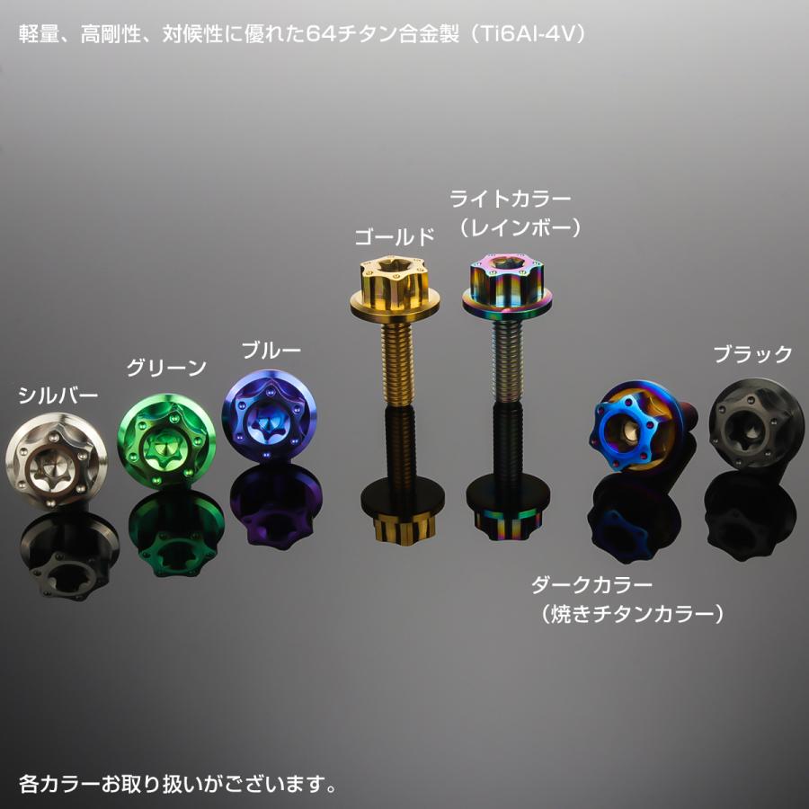 チタンボルト M6×20mm P1.0 六角ボルト ワイドフランジ トルクス穴 ブルー ホール JA1234 | ブランド登録なし | 02