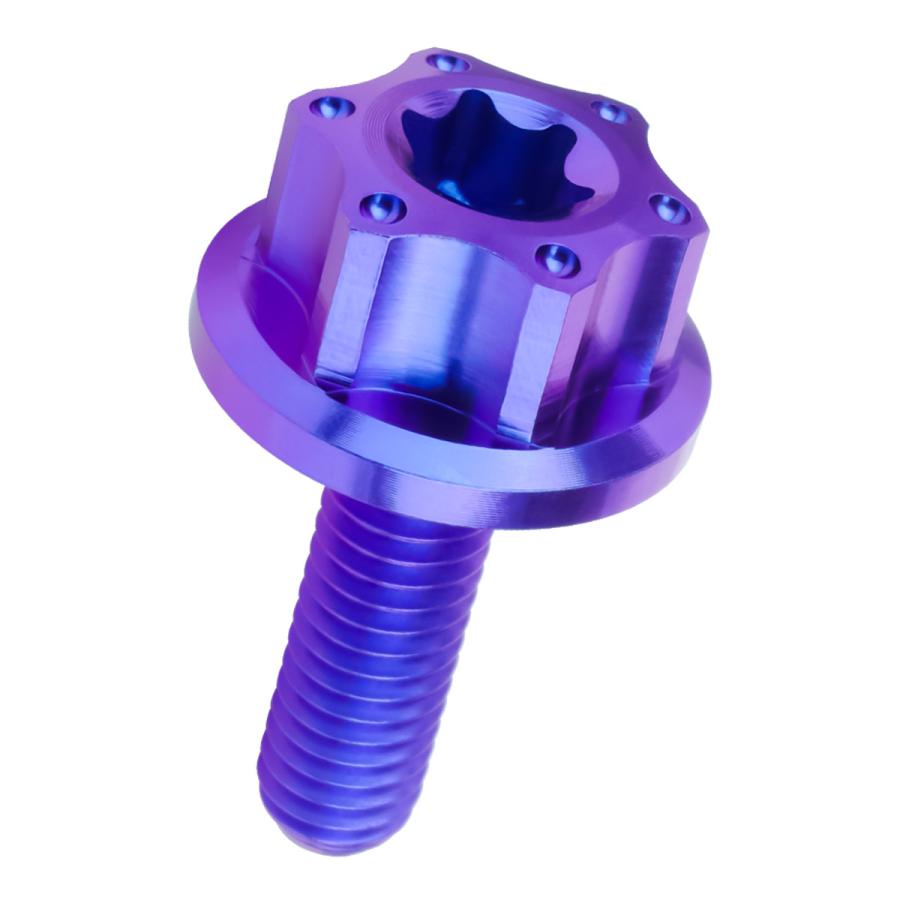 チタンボルト M6×20mm P1.0 六角ボルト ワイドフランジ トルクス穴 ブルー ホール JA1234 | ブランド登録なし | 04