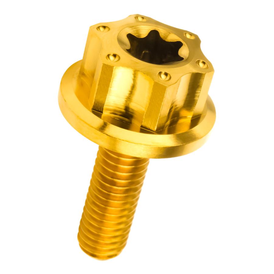 チタンボルト M6×20mm P1.0 六角ボルト ワイドフランジ トルクス穴