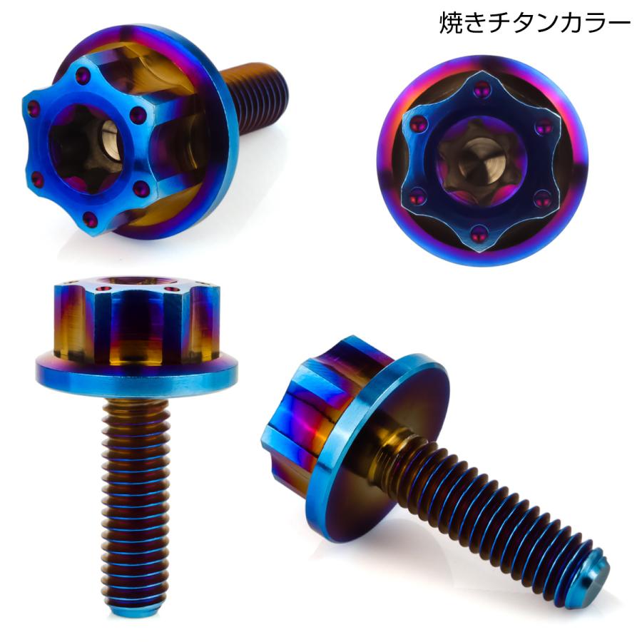 チタンボルト M6×20mm P1.0 六角ボルト ワイドフランジ トルクス穴 ダークカラー 焼きチタンカラー ホール JA1237 | ブランド登録なし | 01