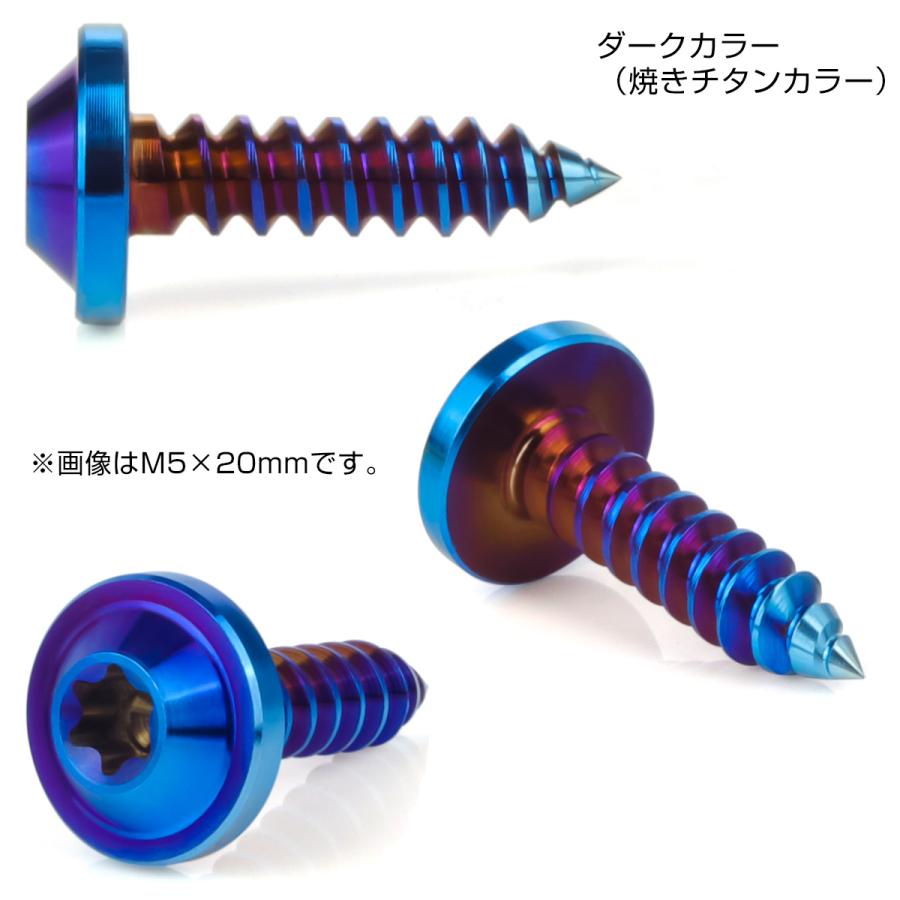 タッピングネジ M5×12mm チタン トルクス穴 フランジ付き ビス ダーク