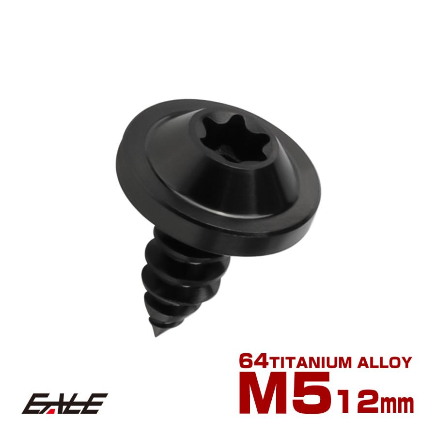 タッピングネジ M5×12mm チタン トルクス穴 フランジ付き ビス