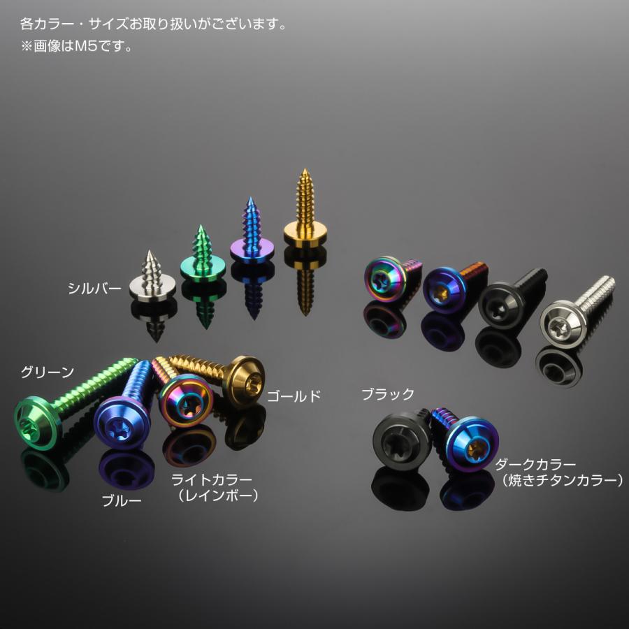 タッピングネジ M5×15mm チタン トルクス穴 フランジ付き ビス
