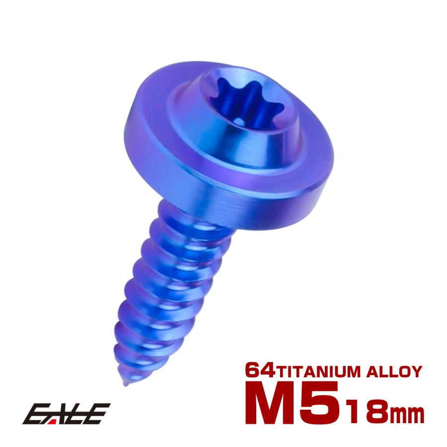 タッピングネジ M5×18mm チタン トルクス穴 フランジ付き ビス ブルー
