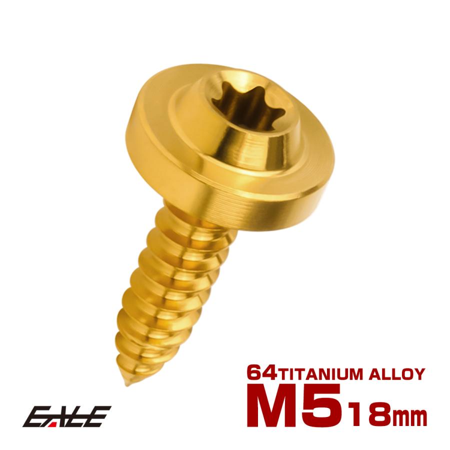 タッピングネジ M5×18mm チタン トルクス穴 フランジ付き ビス