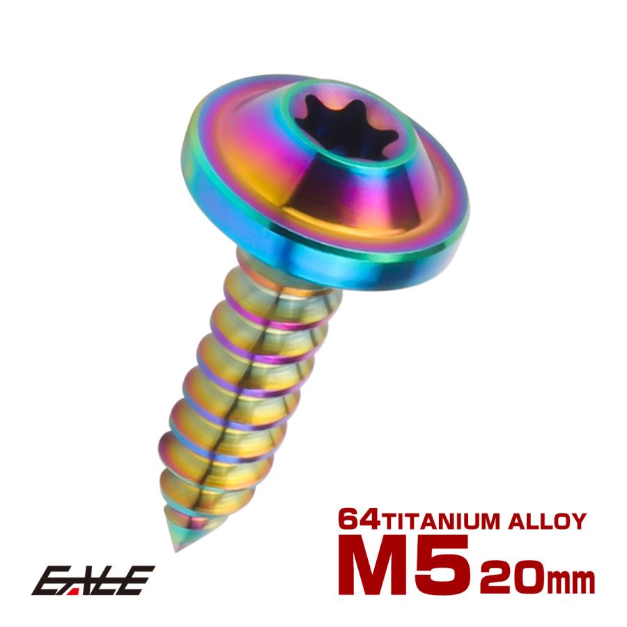 タッピングネジ M5×20mm チタン トルクス穴 フランジ付き ビス ライト