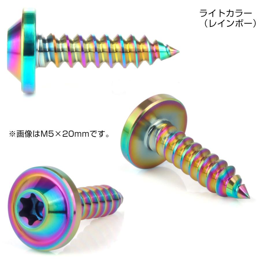 タッピングネジ M5×20mm チタン トルクス穴 フランジ付き ビス ライト