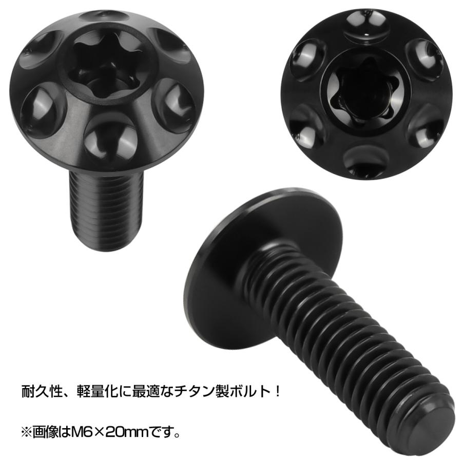 チタンボルト M6×15mm P1.0 ボタンボルト T型 トルクス穴 ブラック ホール JA1358 | ブランド登録なし | 01