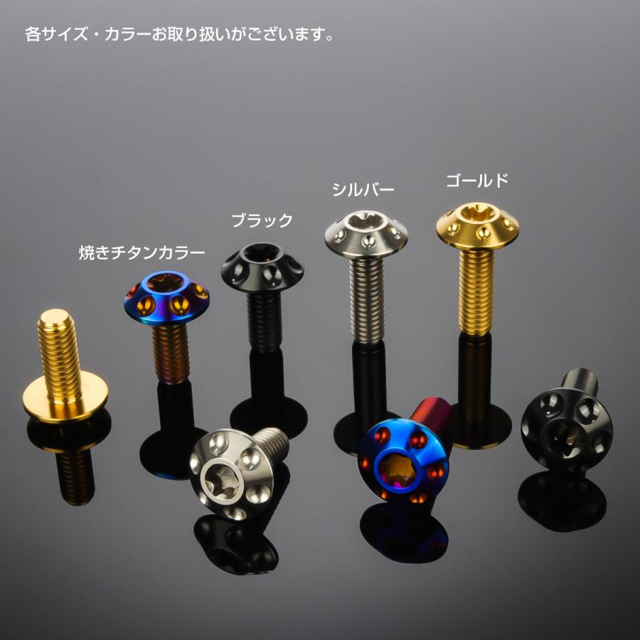 チタンボルト M6×15mm P1.0 ボタンボルト T型 トルクス穴 ブラック ホール JA1358 | ブランド登録なし | 02