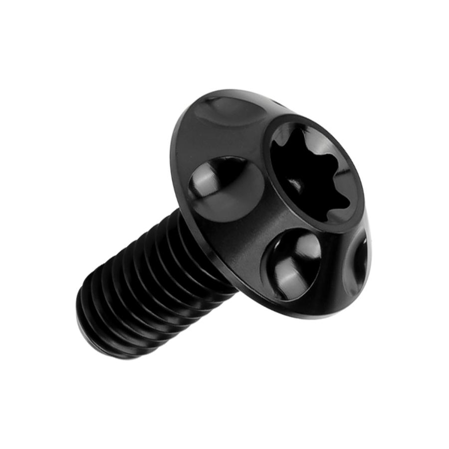 チタンボルト M6×15mm P1.0 ボタンボルト T型 トルクス穴 ブラック ホール JA1358 | ブランド登録なし | 04