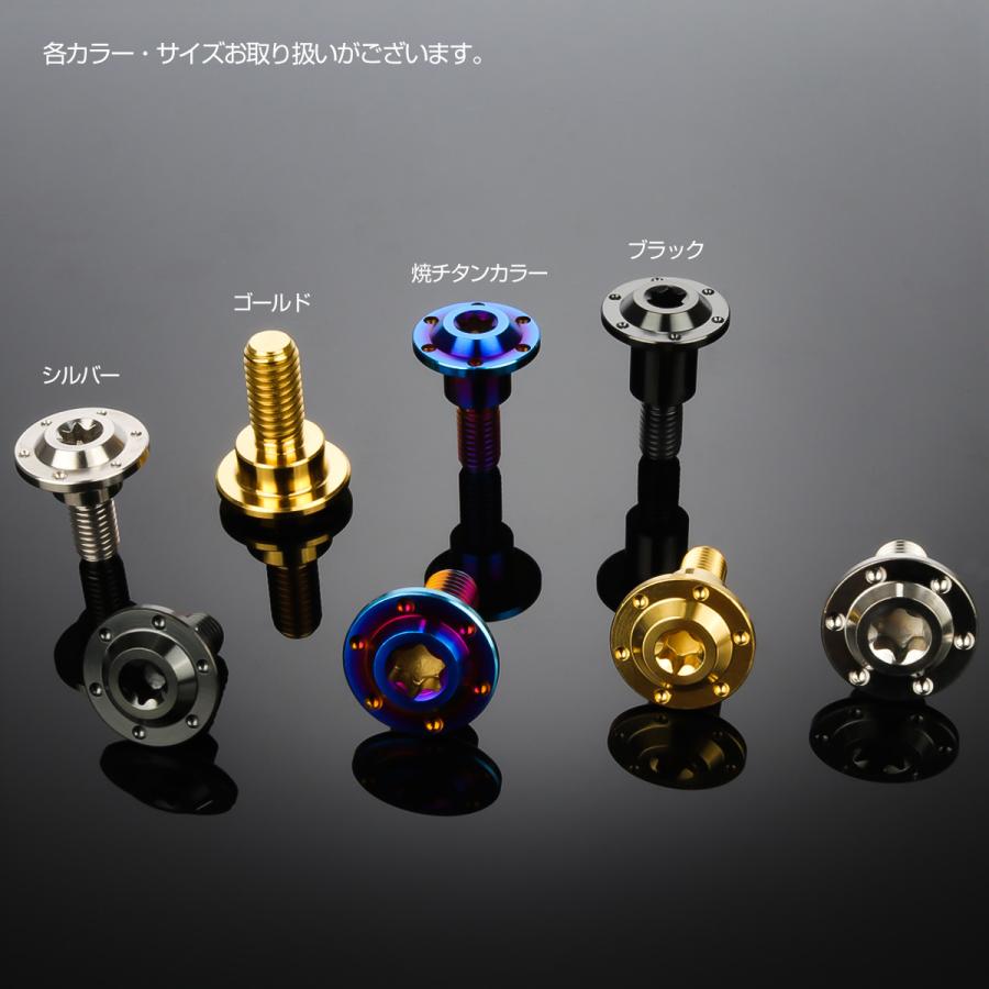 チタンボルト M5×16mm P0.8 フランジボルト 段付き 円筒部直径7.5mm