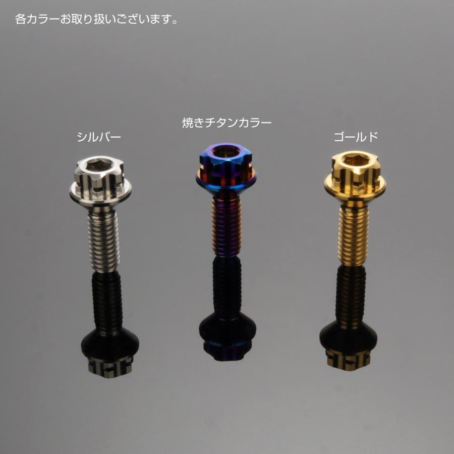 チタンボルト M4×10mm P0.7 マスターシリンダー用 六角ボルト 皿ボルト