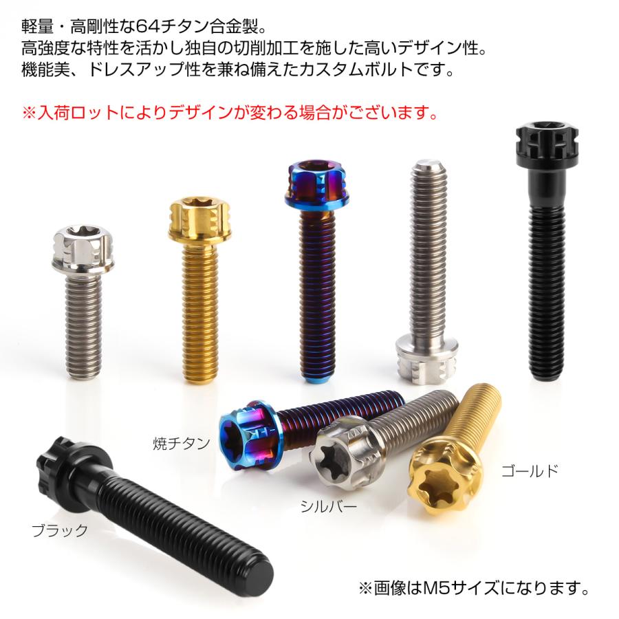 チタンボルトM5×10mm P0.80 六角ボルト T型トルクス穴 フランジ チタンボルトM5×10mm P0.80 六角ボルト T型トルクス穴 フランジ