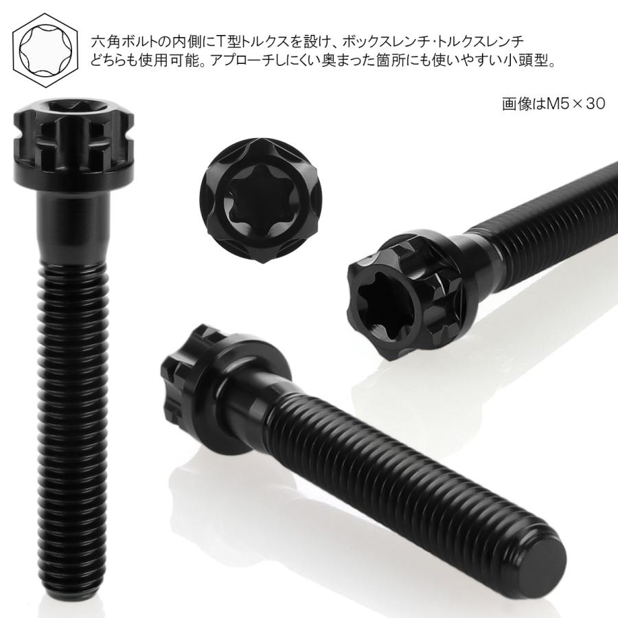 チタンボルトM5×10mm P0.80 六角ボルト T型トルクス穴 フランジ付き