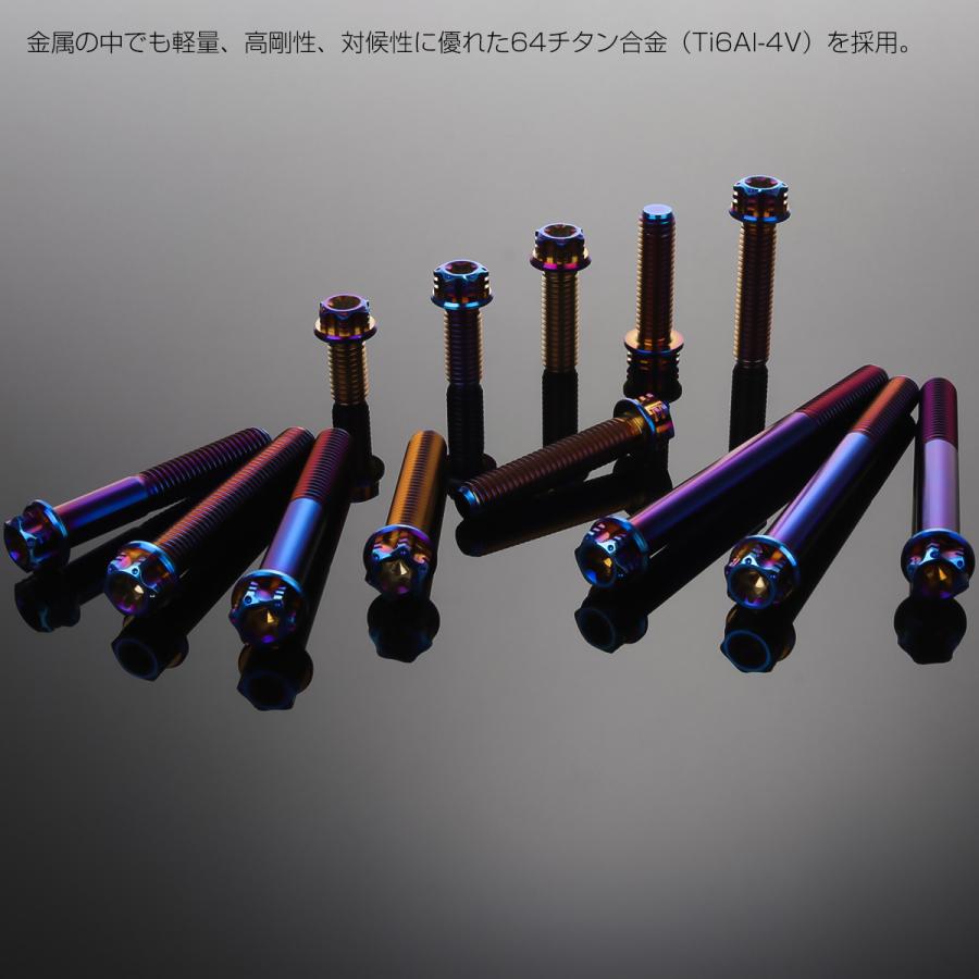 チタンボルト M8×16mm P1.25 六角ボルト トルクス穴 フランジ付き 焼きチタンカラー ホール JA1391 | ブランド登録なし | 03