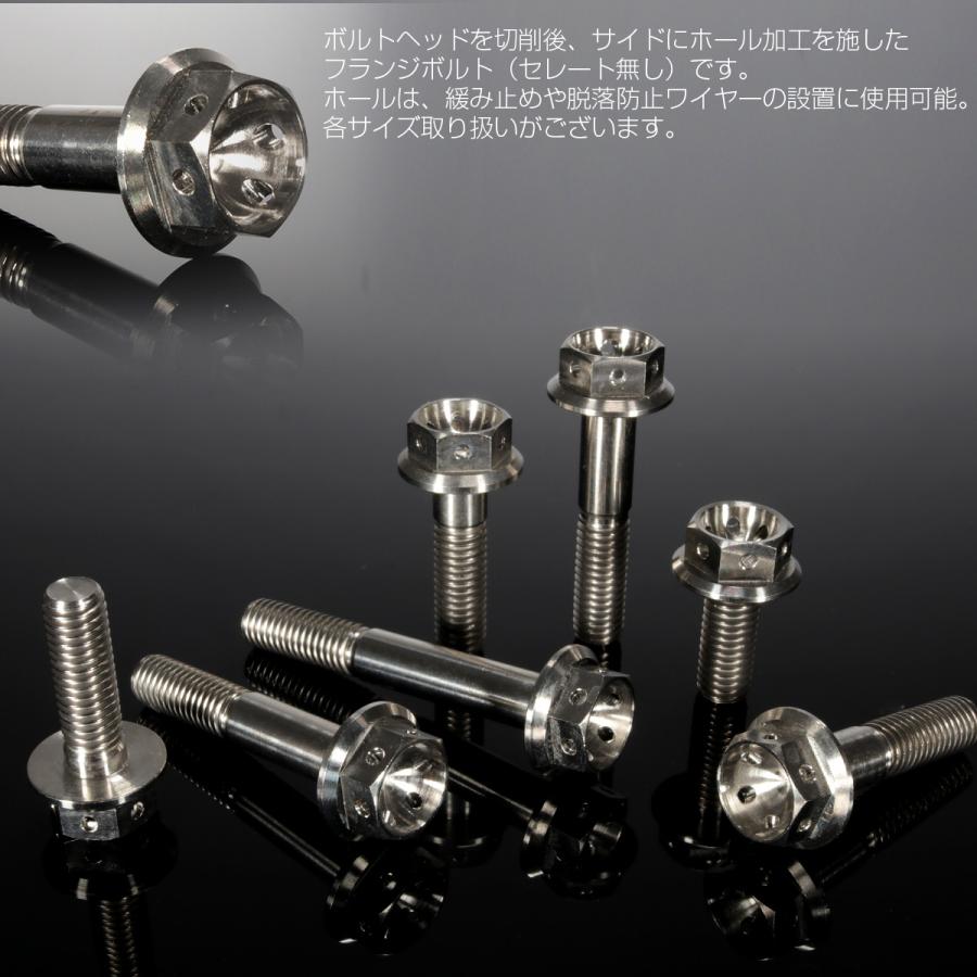 チタンボルト M8×30 P1.25 六角ボルト フランジ付 原色 ホール JA139 | ブランド登録なし | 01